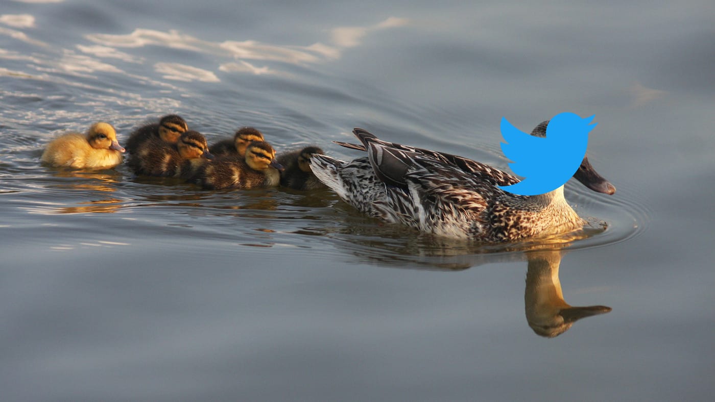 Featured image for “5 Easy Ways to Build your Twitter Following”