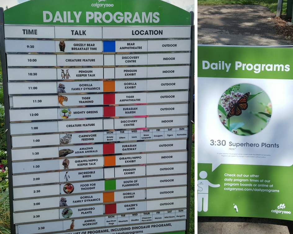 Calgary Zoo programs and events